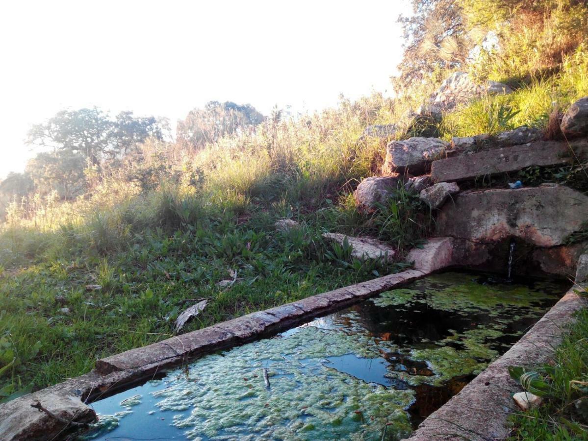 Las Parras Konuk evi Rute Dış mekan fotoğraf